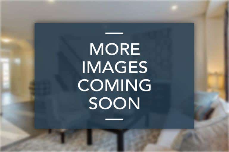 Images-Coming-Soon-Placeholder
