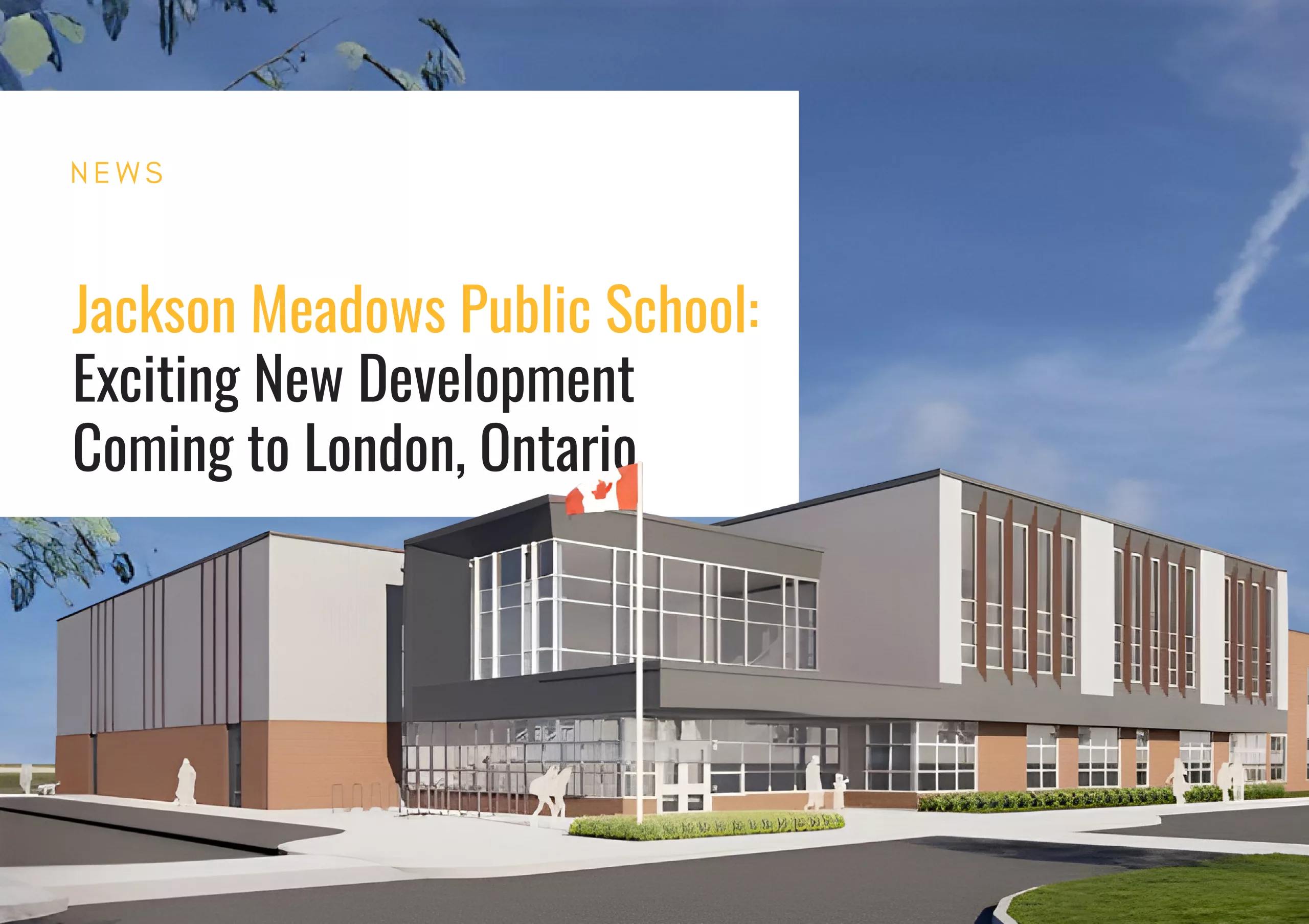 Jackson Meadows New School